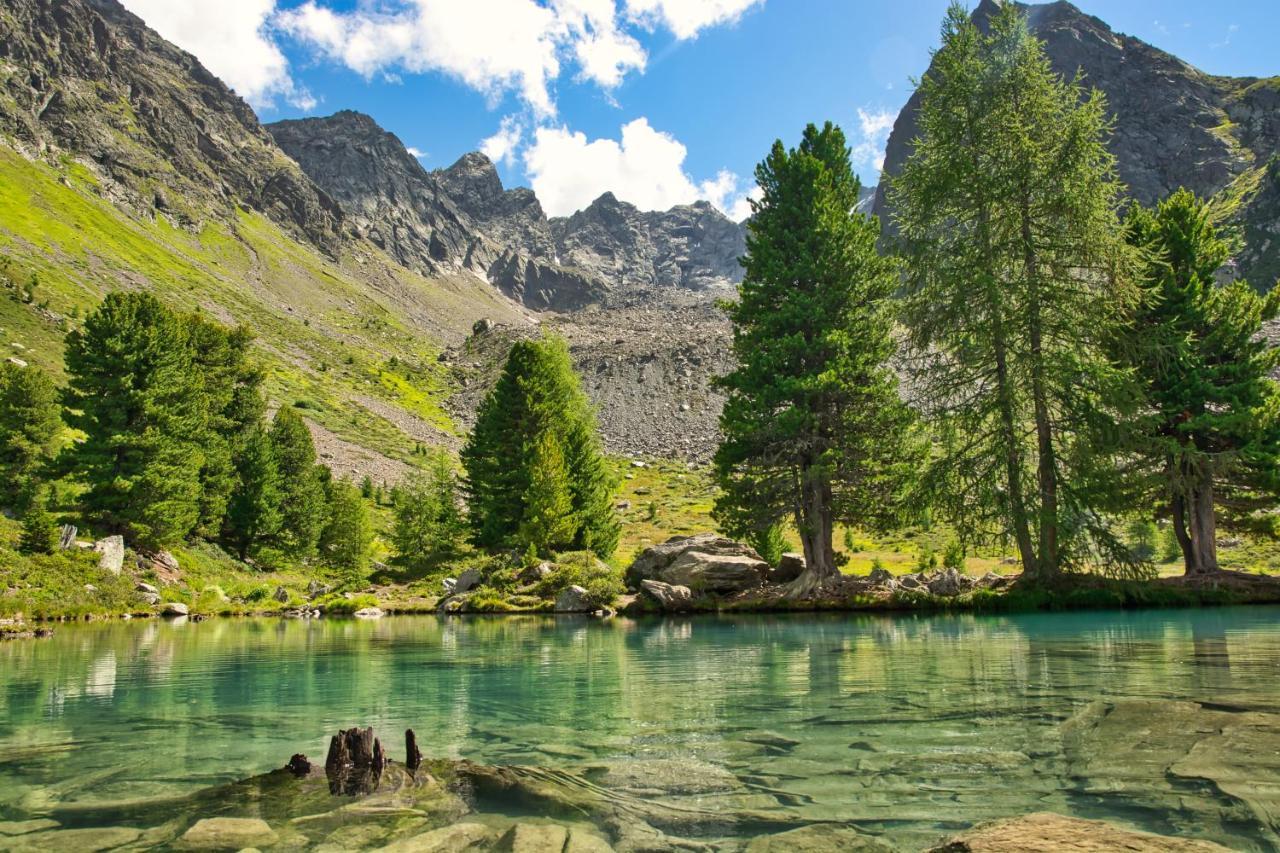 Alpinhotel Monte Superior - Silvretta Card Premium Betrieb Galtuer Ngoại thất bức ảnh